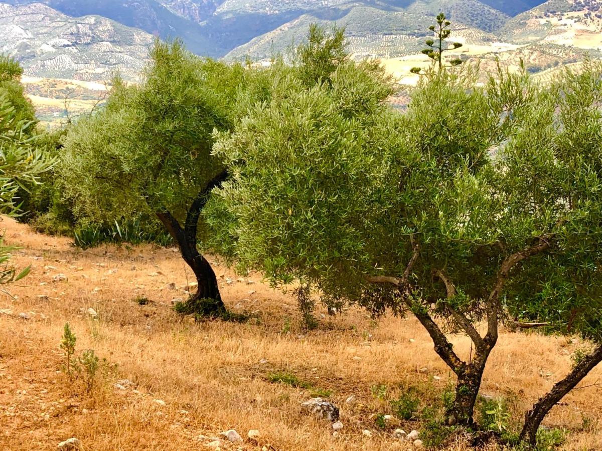 Vila El Oasis Algodonales Exteriér fotografie