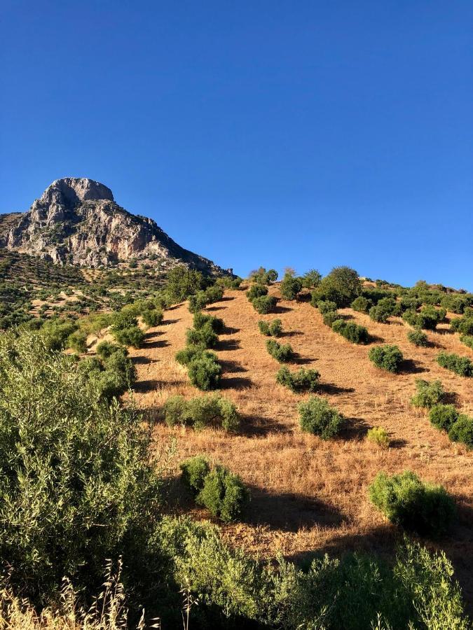 Vila El Oasis Algodonales Exteriér fotografie