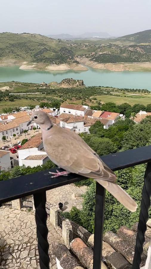 Vila El Oasis Algodonales Exteriér fotografie